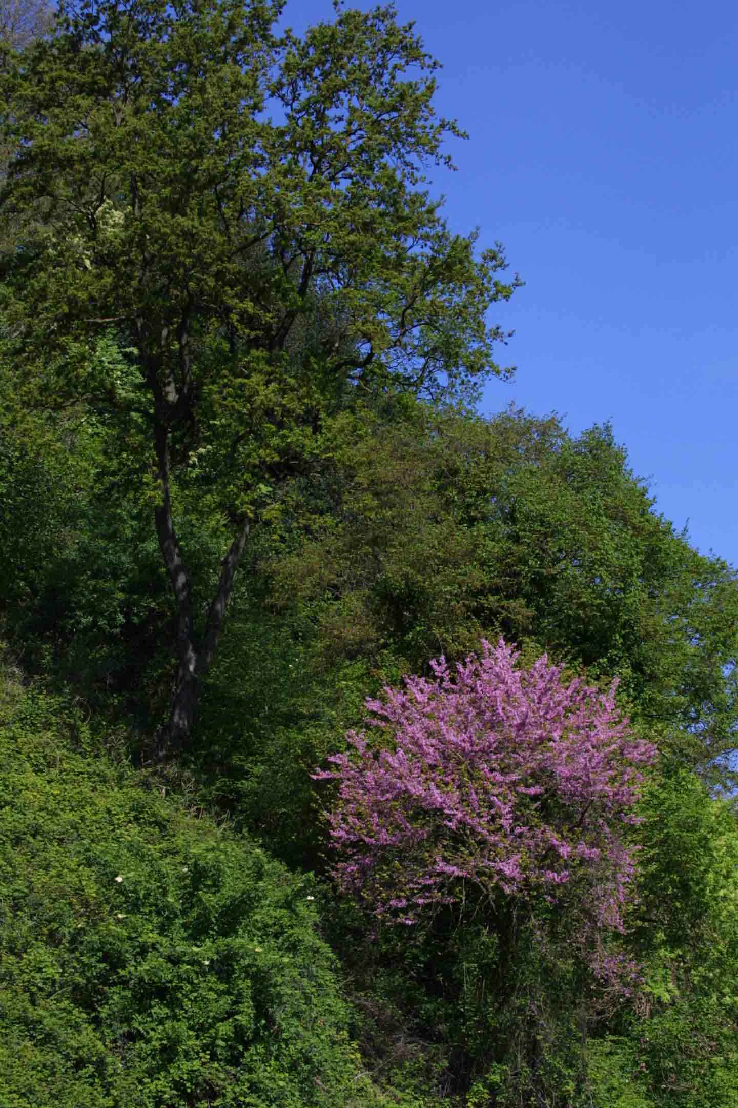 Riserva Tevere - Farfa